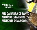 Mel da Barra de Santo Antônio está entre os melhores de Alagoas