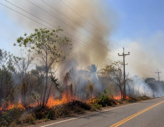 Equatorial Alagoas alerta para 177 ocorrências relacionadas a queimadas próximas à rede elétrica em 2026