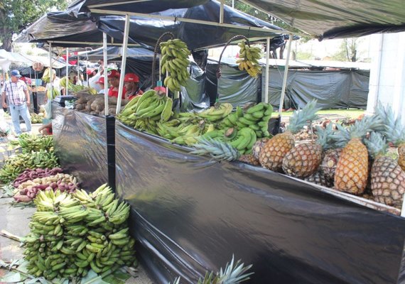 MST comercializa 458 toneladas de alimentos durante feira em Maceió