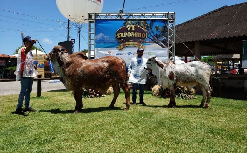 Expoagro 2021 fatura R$ 20 milhões e bate recorde