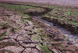 Alagoas cria Comitê de Enfrentamento dos Impactos do El Niño