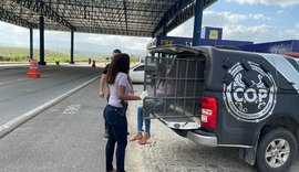 Mulher é presa com 18 kg de maconha em União dos Palmares