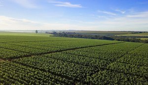 Mais de 17 mil produtores e cooperativas do NE podem se beneficiar com a MP 1.376