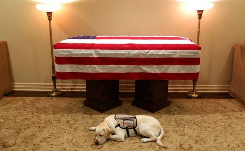 Cachorro que acompanhava George H.W. Bush é visto deitado ao lado do caixão