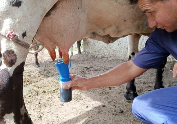 Assistência técnica da CPLA garante qualidade leiteira