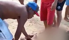 Homem morre após ser atacado por tubarão na praia de Piedade, em Jaboatão dos Guararapes