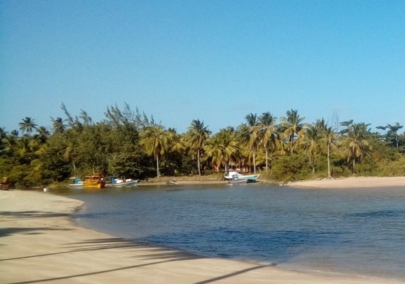 Conheça um pouco das praias de Maragogi