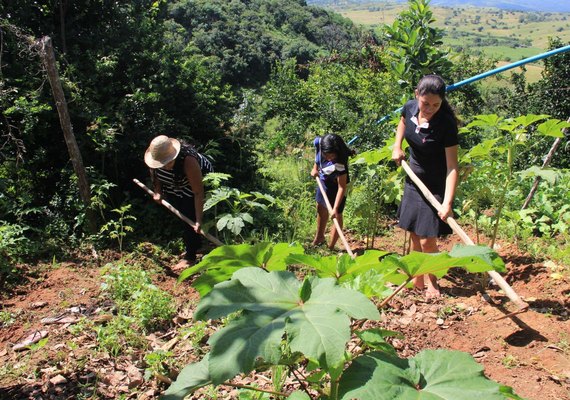 A grande chance: assentados da reforma agrária se preparam para entrar na Universidade