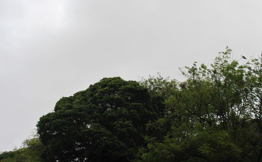 Fim de semana será de tempo instável com previsão de chuva para todo estado de Alagoas