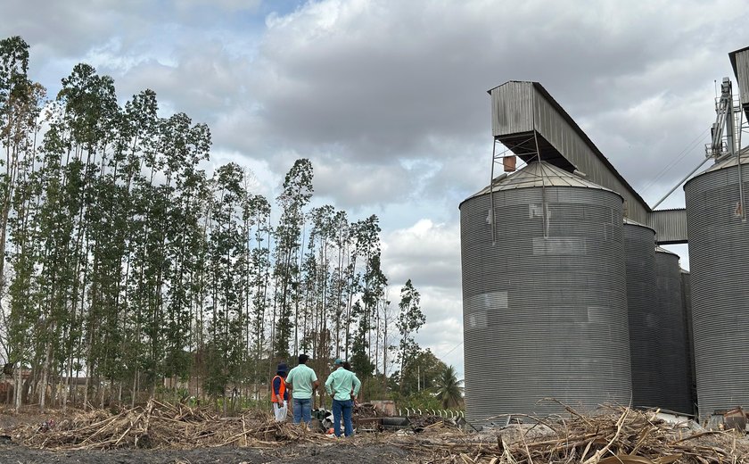 FPI dá prazo para regularização da disposição dos resíduos sólidos em fábrica