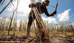 Alagoas: mais de 1.600 acidentes de trabalho só este ano
