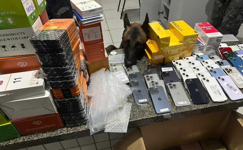 PM apreende mais de 3.000 pedras de crack, 59 celulares e 176 perfumes sem procedência