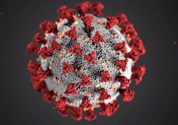 Alagoas registra quatro casos de Covid-19 nas últimas 24h; não houve mortes