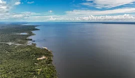 Amazônia tem mais de 2,7 mil espécies de peixes, aponta estudo