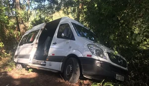 Motorista de van com integrantes da Barões da Pisadinha perde controle e veículo vai parar em área de vegetação