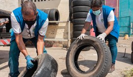 Mutirão de combate à dengue em Maceió começa segunda-feira (29)