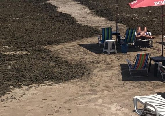 IMA/AL volta a notificar prefeitura de Maceió para retirar sargaço da praia