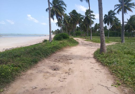 Prefeitura derruba cerca de arame que fechava acesso à praia em São Miguel dos Milagres