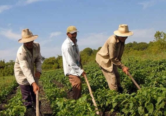 CMN eleva limite de crédito para associados de cooperativas rurais