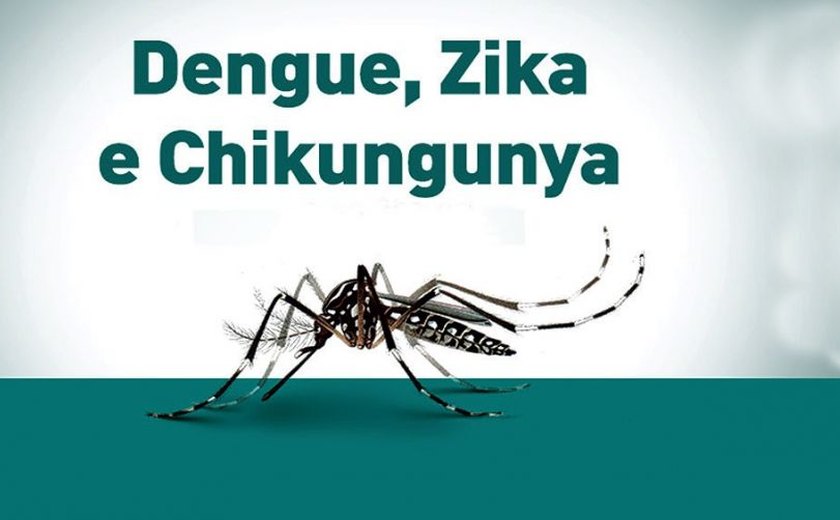 Nos últimos dois anos, vinte alagoanos morreram por dengue e chikungunya