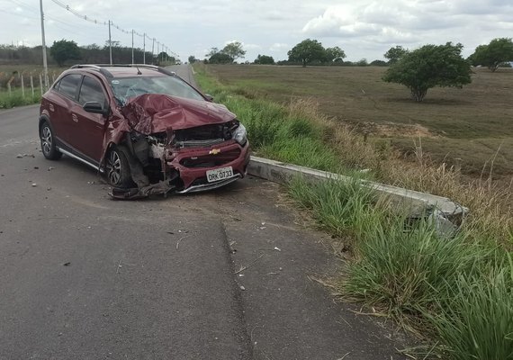 Motorista tenta desviar de cachorro, perde controle de carro e atinge poste no acostamento