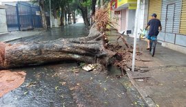 Defesa Civil de Maceió atende ocorrências durante chuvas registradas na capital