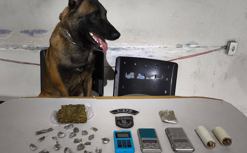 Polícia Militar deflagra operação contra o crime organizado em Arapiraca