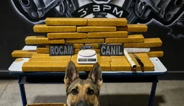 Casal é preso com mais de 25 quilos de maconha durante operação policial em Arapiraca