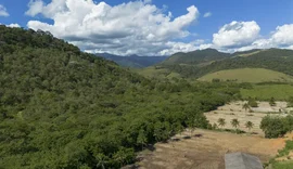 Agricultura ganha 11 milhões de hectares em 41 anos na Mata Atlântica