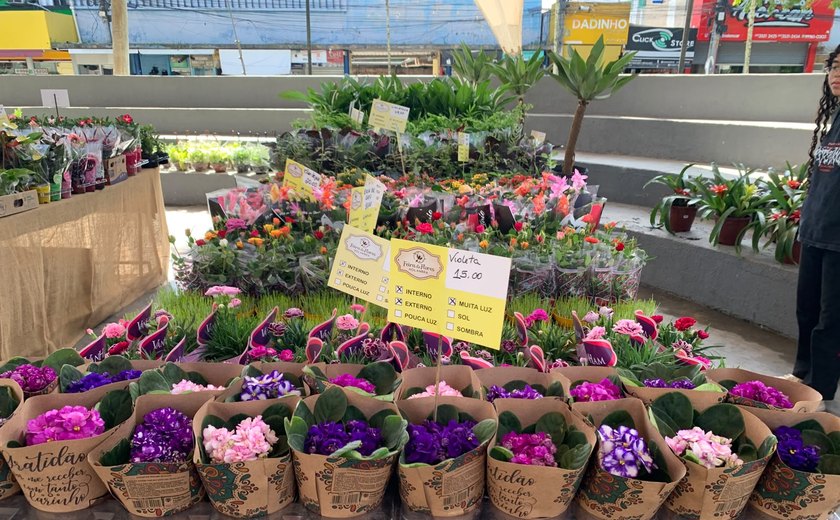 Feira de Flores Holambra chega a Arapiraca com mais de 200 espécies e plantas a partir de R$ 5