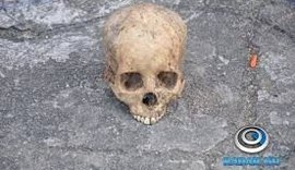 Crânio humano é achado às margens da Rodovia AL-220