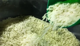 Governo autoriza compra de 1 milhão de toneladas de arroz