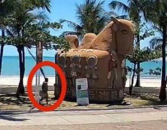 Segurança Cidadã divulga imagens do suspeito de atear fogo na escultura “O Boi”, no Jaraguá