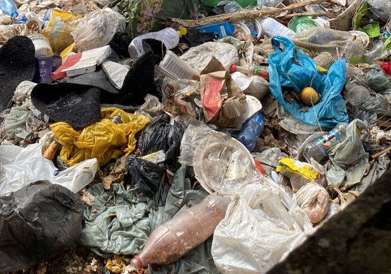 Vídeo: limpeza em casa de acumulador compulsivo continua nesta quinta-feira (23), em Delmiro Gouveia