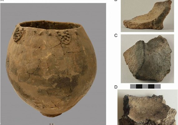 Evidência mostra primeiros registros da produção de vinho do mundo