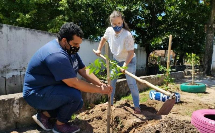 Prefeitura de Maceió tem realizado ações de limpeza e sustentabilidade nos bairros