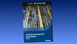 Estudo da Fiea revela expansão do eucalipto e reposiciona Alagoas no mapa da economia verde