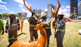 Ornamentação natalina é alvo de vandalismo no Parque Massay-ó-k