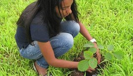 Ação de reflorestamento ontabiliza mais de 30 mil mudas semeadas em Alagoas