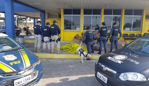 Mulher é presa durante abordagem transportando quase 300 kg de maconha em ônibus