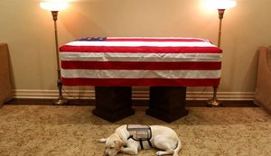 Cachorro que acompanhava George H.W. Bush é visto deitado ao lado do caixão