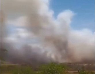 Incêndio de grandes proporções atinge área rural em Craíbas