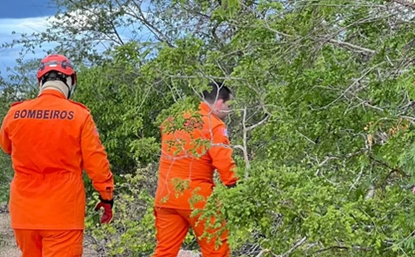 Bombeiros realizam buscas por pessoa desaparecida em mata no Sertão de Alagoas