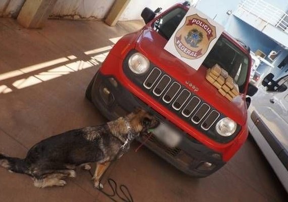PF encontra mais 10 quilos de maconha em carro de filho de juíza