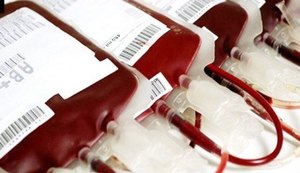 Hemoal necessita de sangue para atender criança com leptospirose