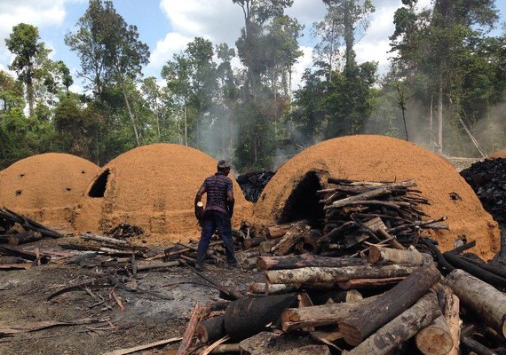 Governo tenta localizar vítimas de trabalho escravo para pagar indenização