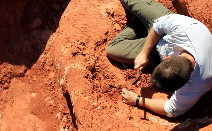 Fóssil descoberto no Brasil lança luz sobre origem dos dinossauros