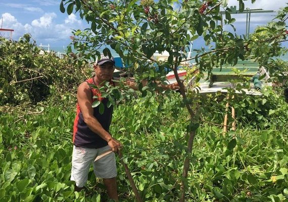Pescadores replantam árvores nativas e empresário recebe multa em Porto de Pedras