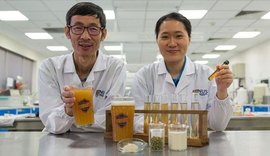 Cientistas asiáticos criam cerveja probiótica com lactobacilos vivos