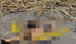 Homem é encontrado morto em canavial no Benedito Bentes após ser retirado de casa por criminosos